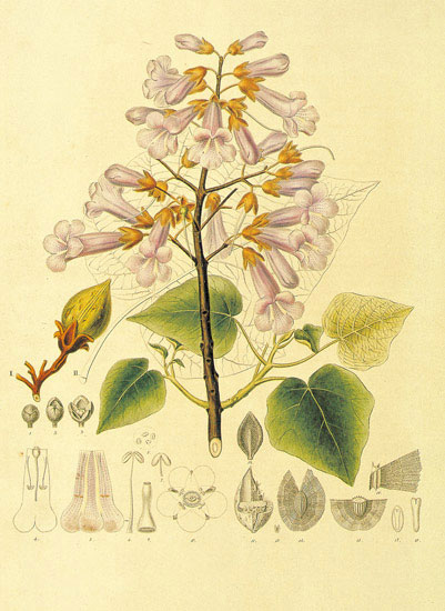 Compatible Blumen JAHRRIESNGE  for flowers-lpf06873 