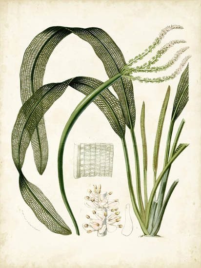 Compatible Blumen JAHRRIESNGE  for flowers-lpf06919 