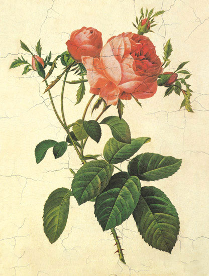 Compatible Blumen JAHRRIESNGE  for flowers-lpf06951 