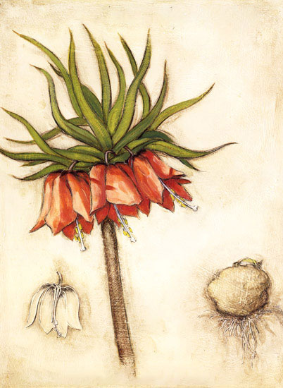 Compatible Blumen JAHRRIESNGE  for flowers-lpf06962 