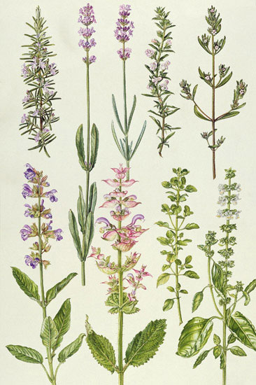 Compatible Blumen JAHRRIESNGE  for flowers-lpf07035 