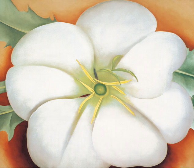 Compatible Blumen JAHRRIESNGE  for flowers-lpf07055 