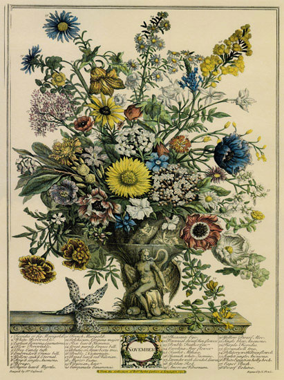 Compatible Blumen JAHRRIESNGE  for flowers-lpf07096 