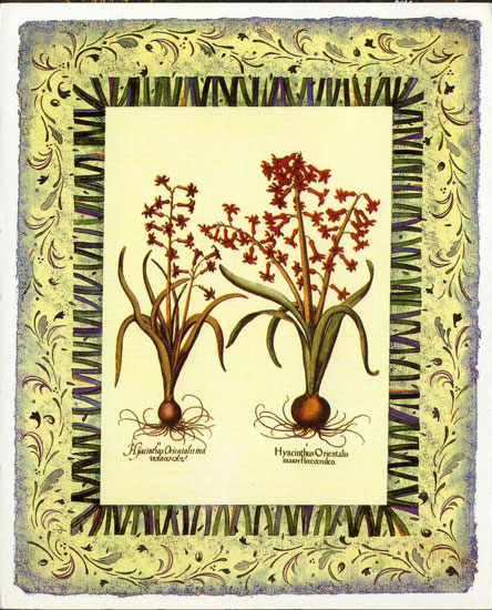 Compatible Blumen JAHRRIESNGE  for flowers-lpf07099 