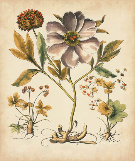 Compatible Blumen JAHRRIESNGE  for flowers-lpf07110 