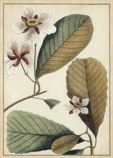 Compatible Blumen JAHRRIESNGE  for flowers-lpf07114 