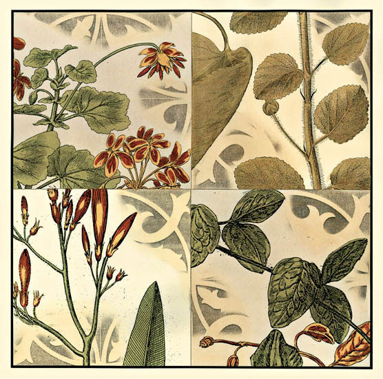 Compatible Blumen JAHRRIESNGE  for flowers-lpf07145 