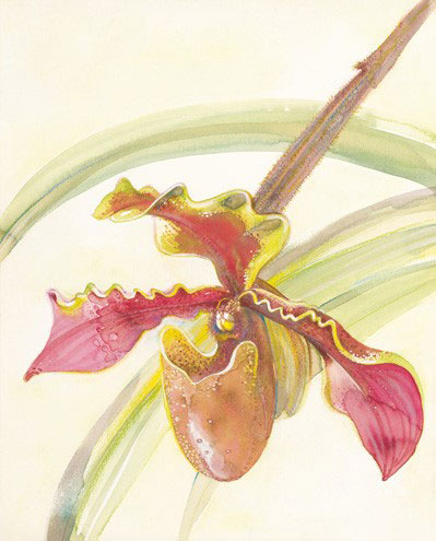 Compatible Blumen JAHRRIESNGE  for flowers-lpf07174 