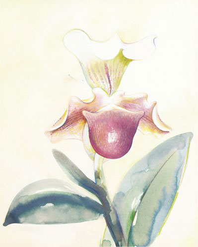 Compatible Blumen JAHRRIESNGE  for flowers-lpf07176 