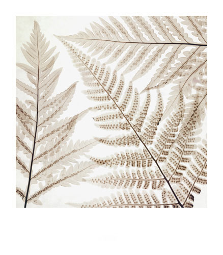 Compatible Blumen JAHRRIESNGE  for flowers-lpf07207 