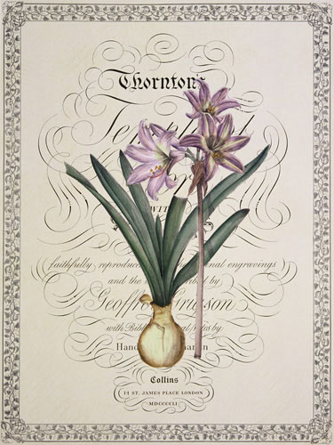 Compatible Blumen JAHRRIESNGE  for flowers-lpf07221 