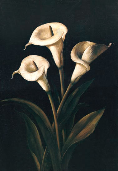 Compatible Blumen JAHRRIESNGE  for flowers-lpf07235 