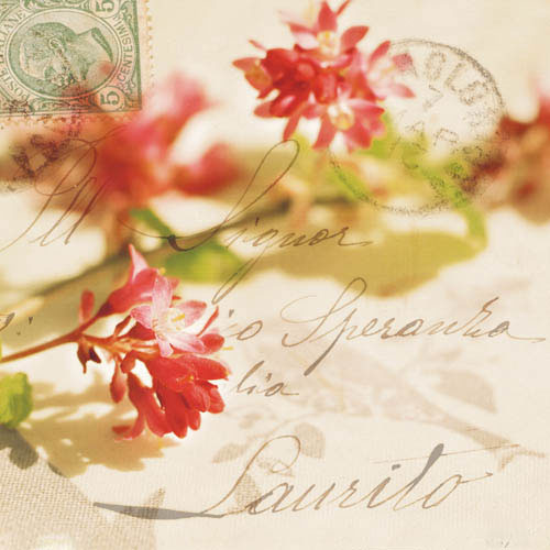 Compatible Blumen JAHRRIESNGE  for flowers-lpf07388 