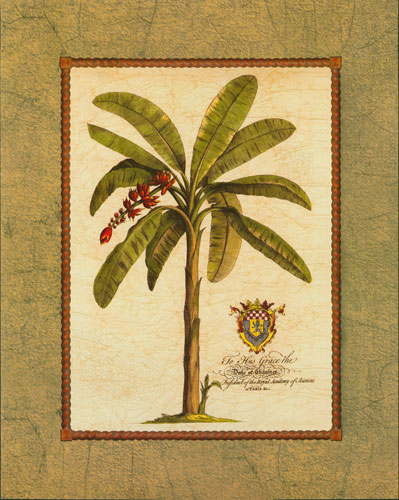 Compatible Blumen JAHRRIESNGE  for flowers-lpf07483 