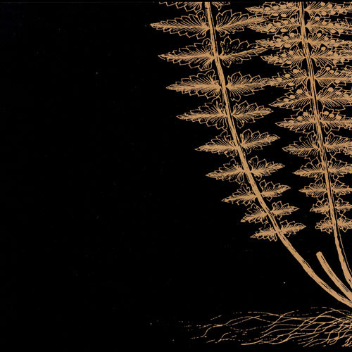 Compatible Blumen JAHRRIESNGE  for flowers-lpf07494 