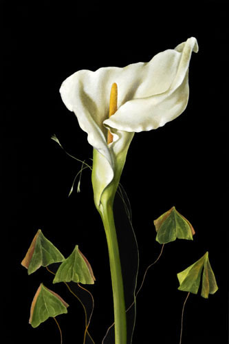 Compatible Blumen JAHRRIESNGE  for flowers-lpf07573 