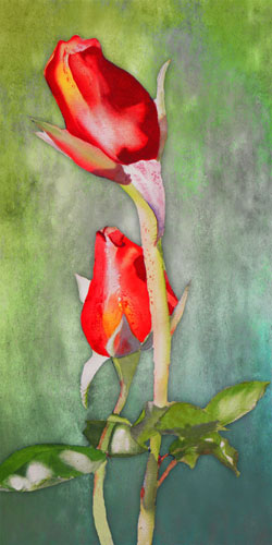 Compatible Blumen JAHRRIESNGE  for flowers-lpf07587 