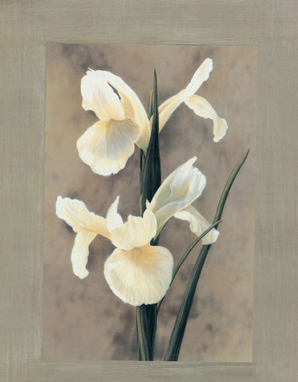 Compatible Blumen JAHRRIESNGE  for flowers lpf07894 