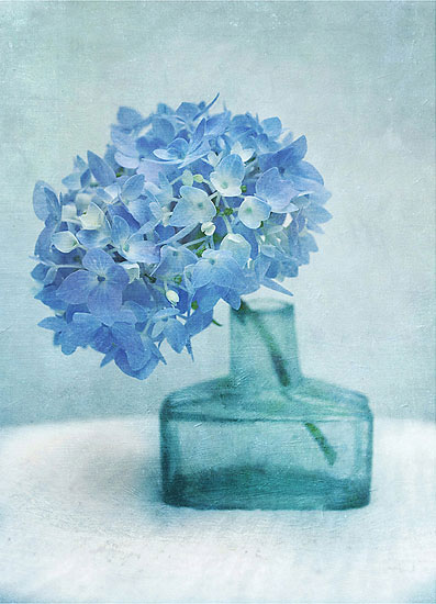 Compatible Blumen JAHRRIESNGE  for flowers lpf07935 