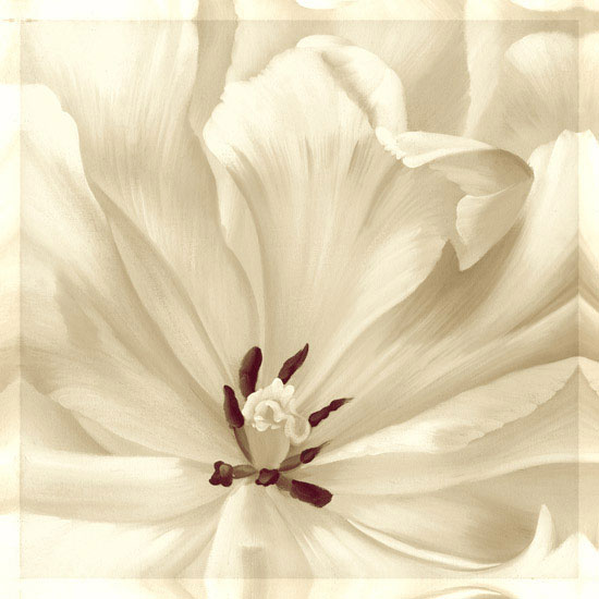 Compatible Blumen JAHRRIESNGE  for flowers lpf08114 