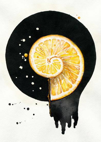 Compatible Blumen JAHRRIESNGE  for fruits lpf08142 