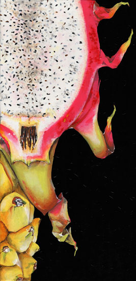 Compatible Blumen JAHRRIESNGE  for dragon fruit lpf08147 