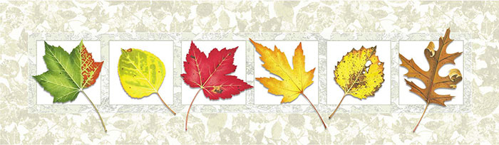 Compatible Blumen JAHRRIESNGE  for leaves lpf08160 