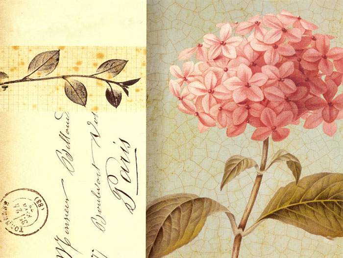 Compatible Blumen JAHRRIESNGE  for flowers lpf08171 