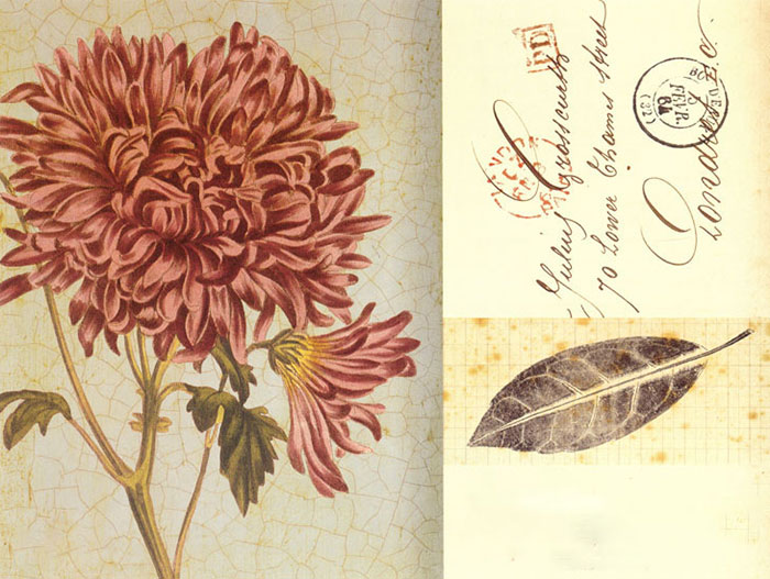 Compatible Blumen JAHRRIESNGE  for flowers lpf08172 