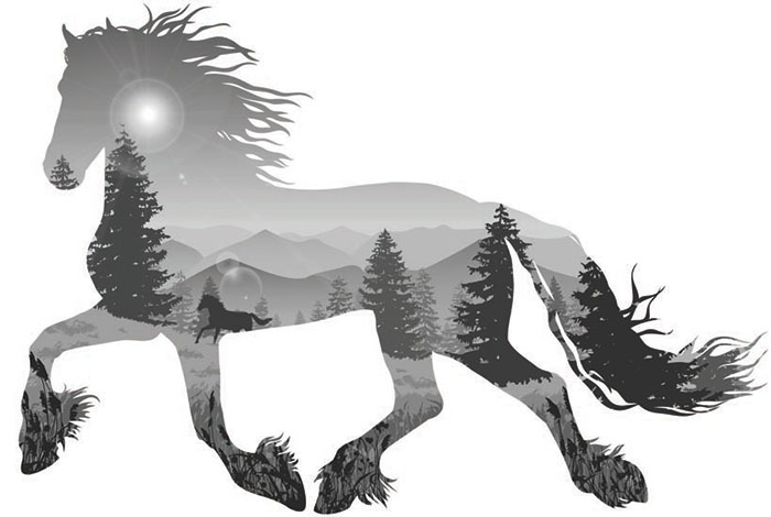 Compatible Tiere Jahrriesnge  for horse lpf08622 