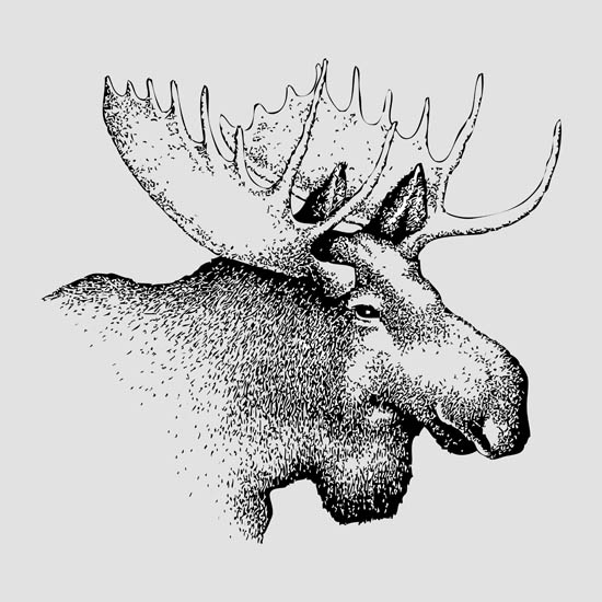 Compatible Tiere Jahrriesnge  for deer lpf08653 