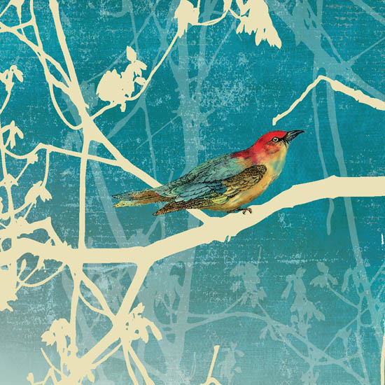 Compatible Tiere Jahrriesnge  for bird lpf08674 