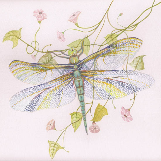 Compatible Tiere Jahrriesnge  for dragonfly lpf08679 