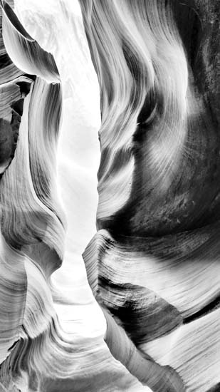 Compatible Landschaft JAHRRIESNGE  for untitle lpf09388 