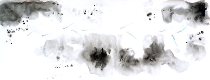 Compatible Landschaft JAHRRIESNGE  for fishes lpf09416 