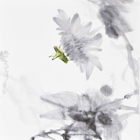 Compatible Landschaft JAHRRIESNGE  for Katydids lpf09505 