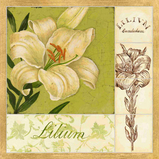 Compatible Blumen JAHRRIESNGE  for flowers lpf09621 