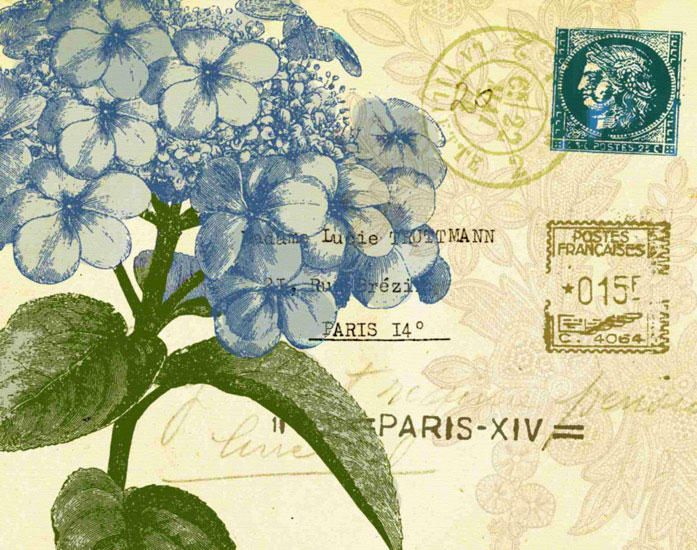 Compatible Blumen JAHRRIESNGE  for flowers lpf09627 