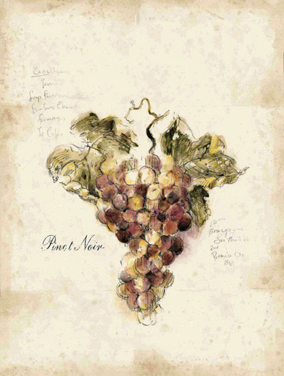 Compatible Blumen JAHRRIESNGE  for grapes lpf09660 