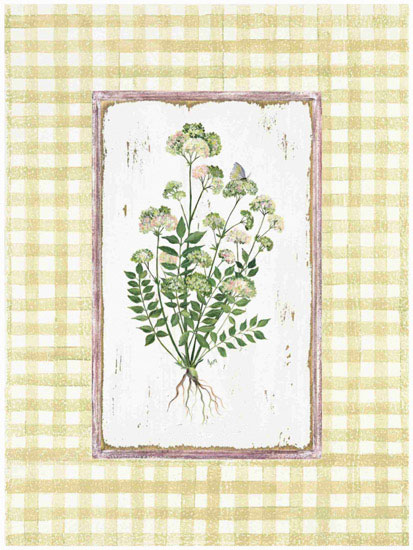 Compatible Blumen JAHRRIESNGE  for flowers lpf09675 