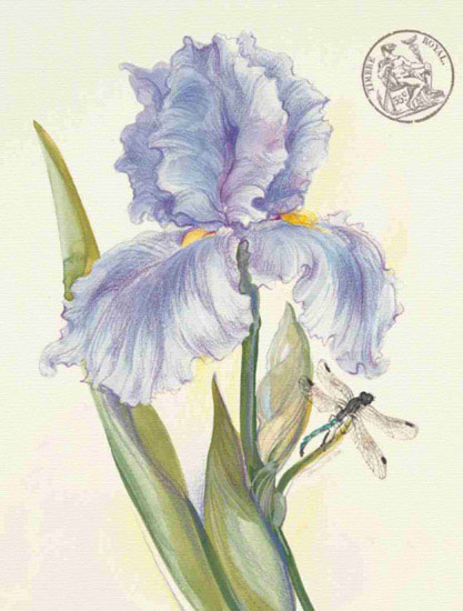 Compatible Blumen JAHRRIESNGE  for flowers lpf09693 