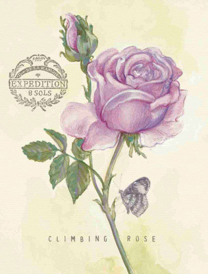 Compatible Blumen JAHRRIESNGE  for flowers lpf09694 