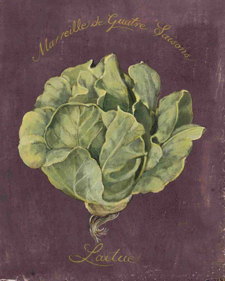 Compatible Blumen JAHRRIESNGE  for vegetables lpf09881 