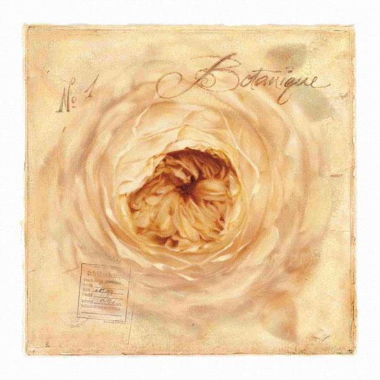 Compatible Blumen JAHRRIESNGE  for flowers lpf10128 