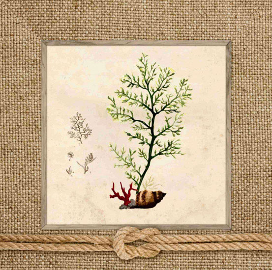 Compatible Blumen JAHRRIESNGE  for flowers lpf10168 