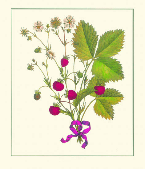 Compatible Blumen JAHRRIESNGE  for flowers lpf10186 