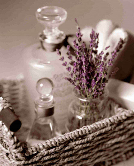 Compatible Blumen Jahrriesnge  for flowers lpf10206 