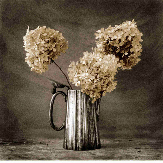 Compatible Blumen JAHRRIESNGE  for flowers lpf10220 