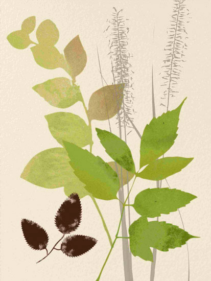 Compatible Blumen JAHRRIESNGE  for leaves lpf10289 