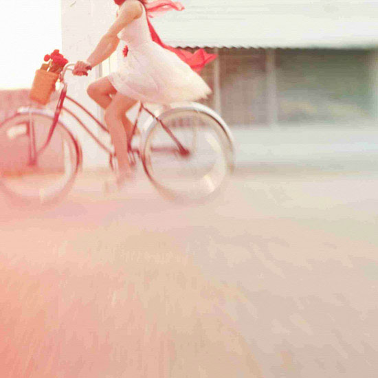 Compatible Porträt Jahrriesnge  for bike lpf10471 